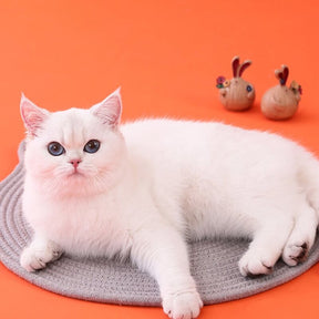 Tapis à gratter en forme d'oreilles de chat en corde de coton tissé