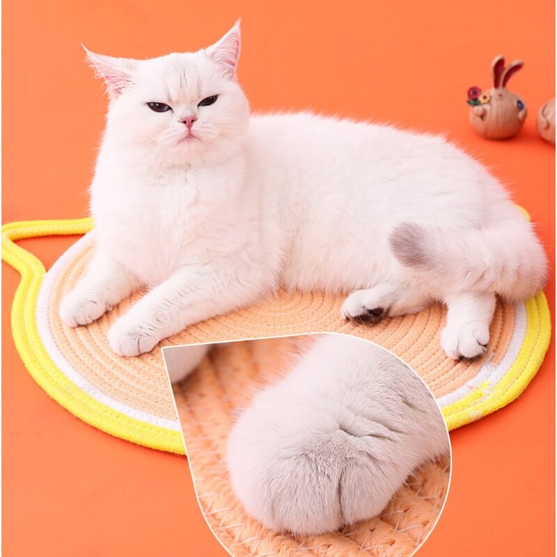 Tapis à gratter en forme d'oreilles de chat en corde de coton tissé