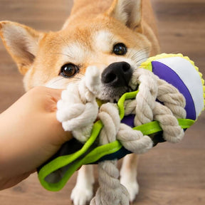 Jouet en Corde de Coton pour Chiens