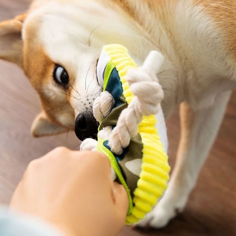 Jouet en Corde de Coton pour Chiens