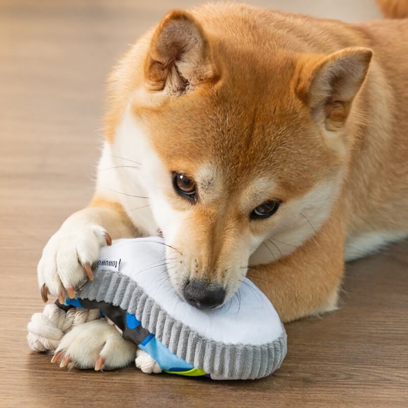 Jouet en Corde de Coton pour Chiens