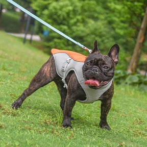 Gilet Respirant Prévention Insolation Gilet Refroidissant Pour Chien Imbibable