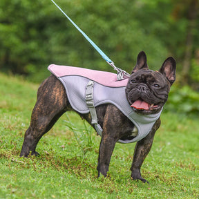 Gilet Respirant Prévention Insolation Gilet Refroidissant Pour Chien Imbibable