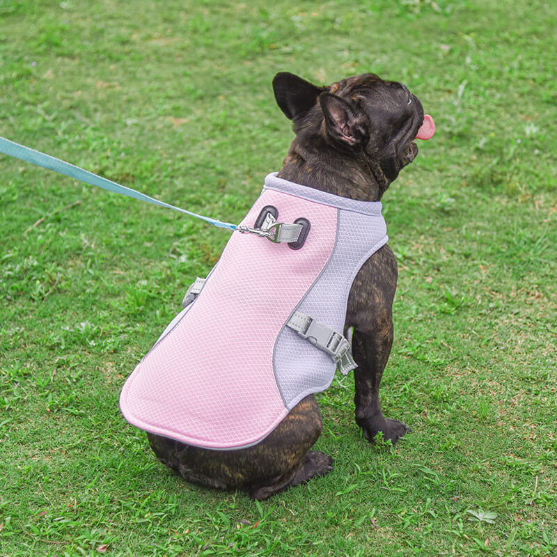 Gilet Respirant Prévention Insolation Gilet Refroidissant Pour Chien Imbibable