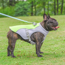 Gilet Respirant Prévention Insolation Gilet Refroidissant Pour Chien Imbibable