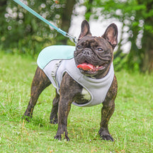 Gilet Respirant Prévention Insolation Gilet Refroidissant Pour Chien Imbibable