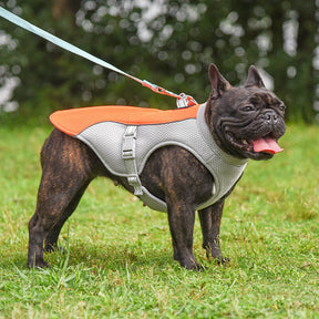 Gilet Respirant Prévention Insolation Gilet Refroidissant Pour Chien Imbibable