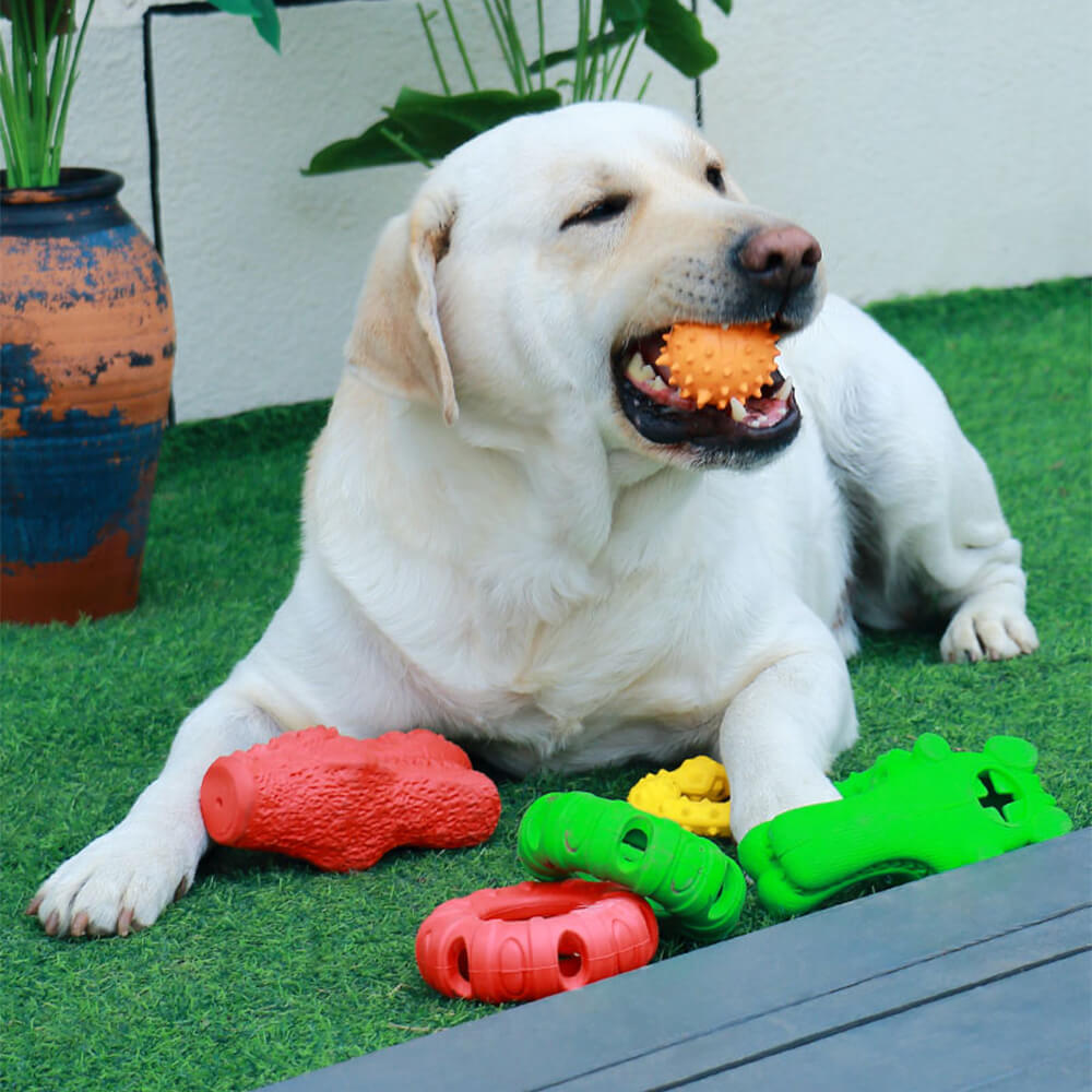 Jouet Interactif Sifflant pour Chiens, Jouet à Mâcher pour Dents