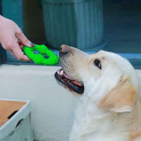 Jouet Interactif Sifflant pour Chiens, Jouet à Mâcher pour Dents