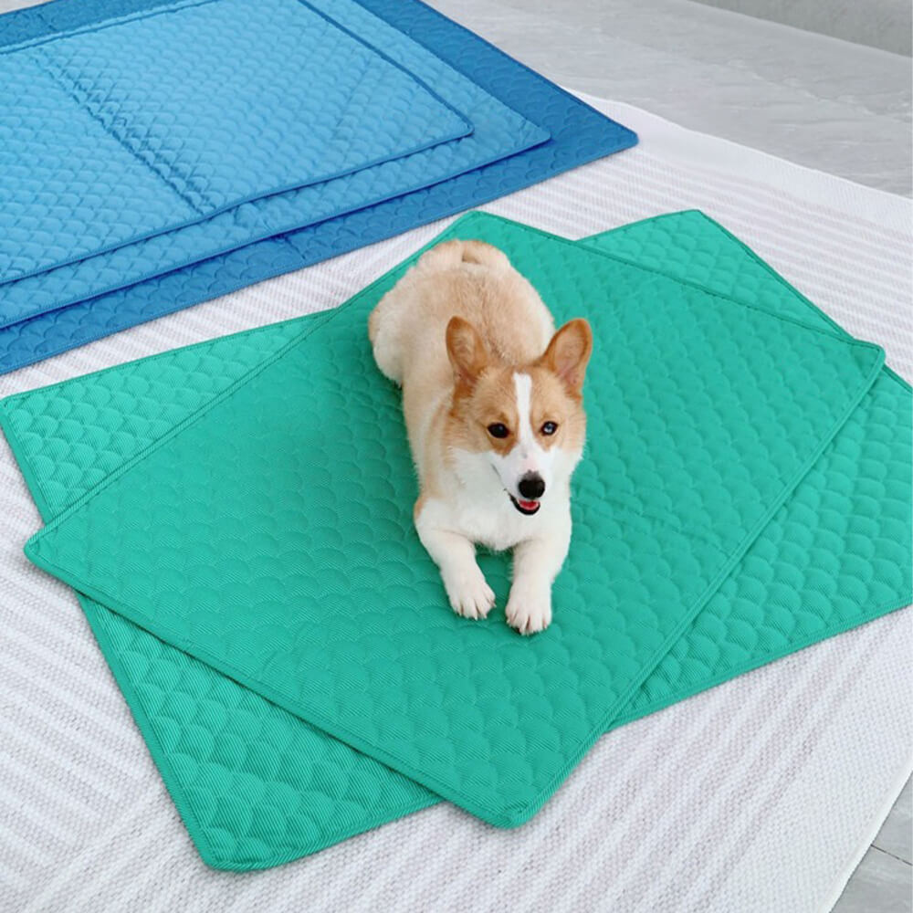 Tapis Rafraîchissant Imperméable Double Face pour Animaux