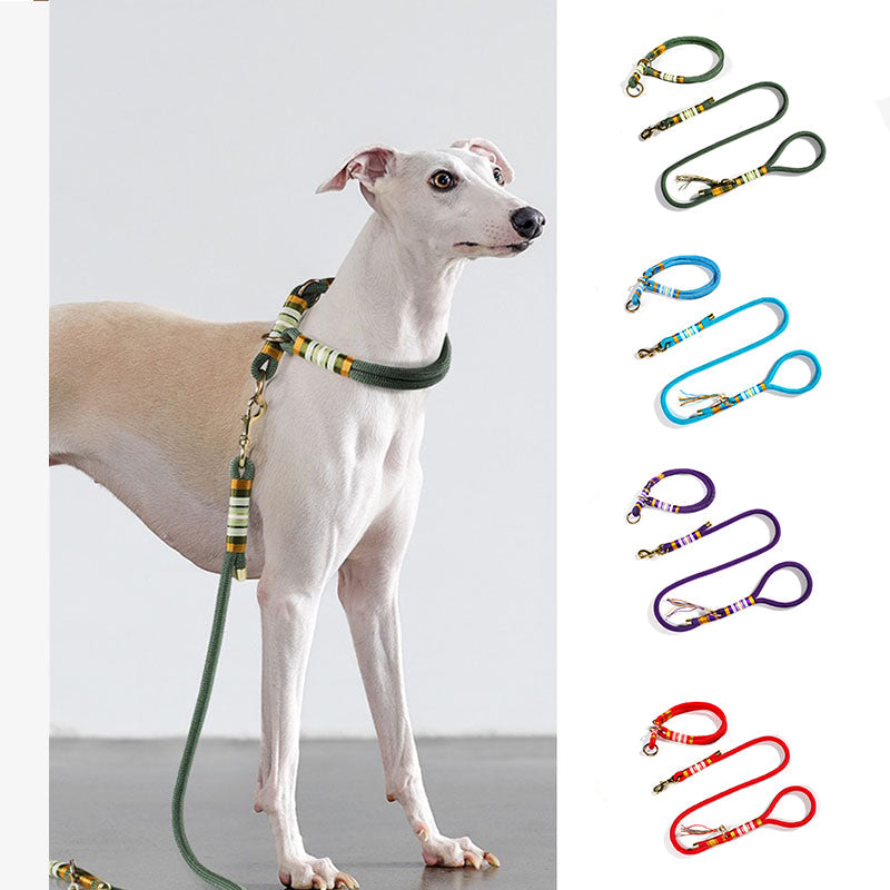 Ensemble de Collier et Laisse pour Chien en Corde Tricotée