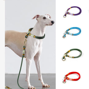 Collier de dressage pour chien en corde tressée à la main