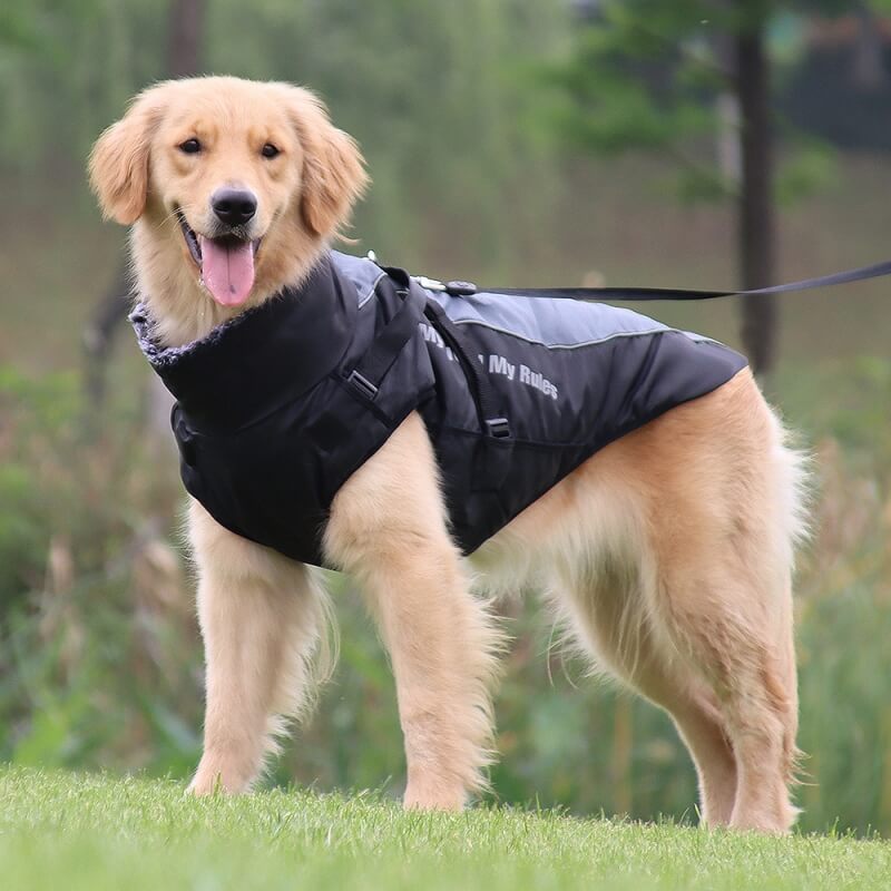 Veste Chaleur Haute Col pour Chien Épaissie en Coton