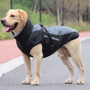 Veste Chaleur Haute Col pour Chien Épaissie en Coton