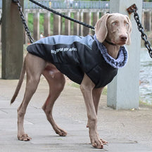 Veste Chaleur Haute Col pour Chien Épaissie en Coton