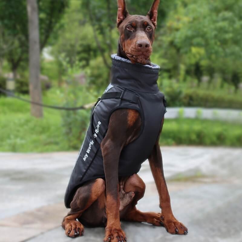 Veste Chaleur Haute Col pour Chien Épaissie en Coton