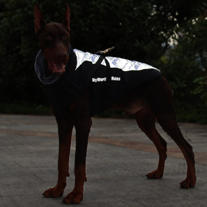 Veste Chaleur Haute Col pour Chien Épaissie en Coton