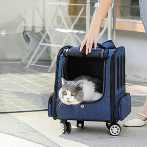 Sac à dos de voyage pliable multifonction pour chat avec roulettes