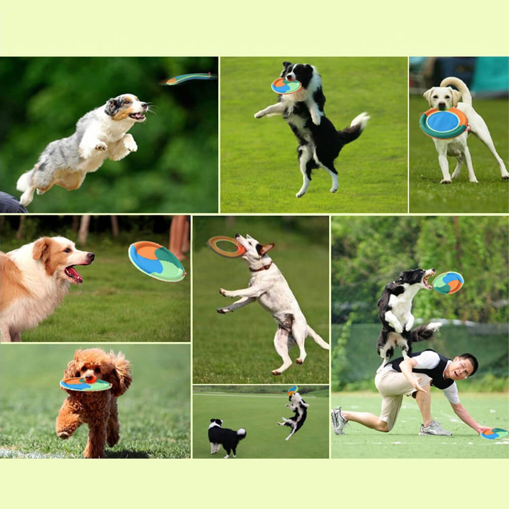 Frisbee pour Chien Résistant en Tissu Oxford