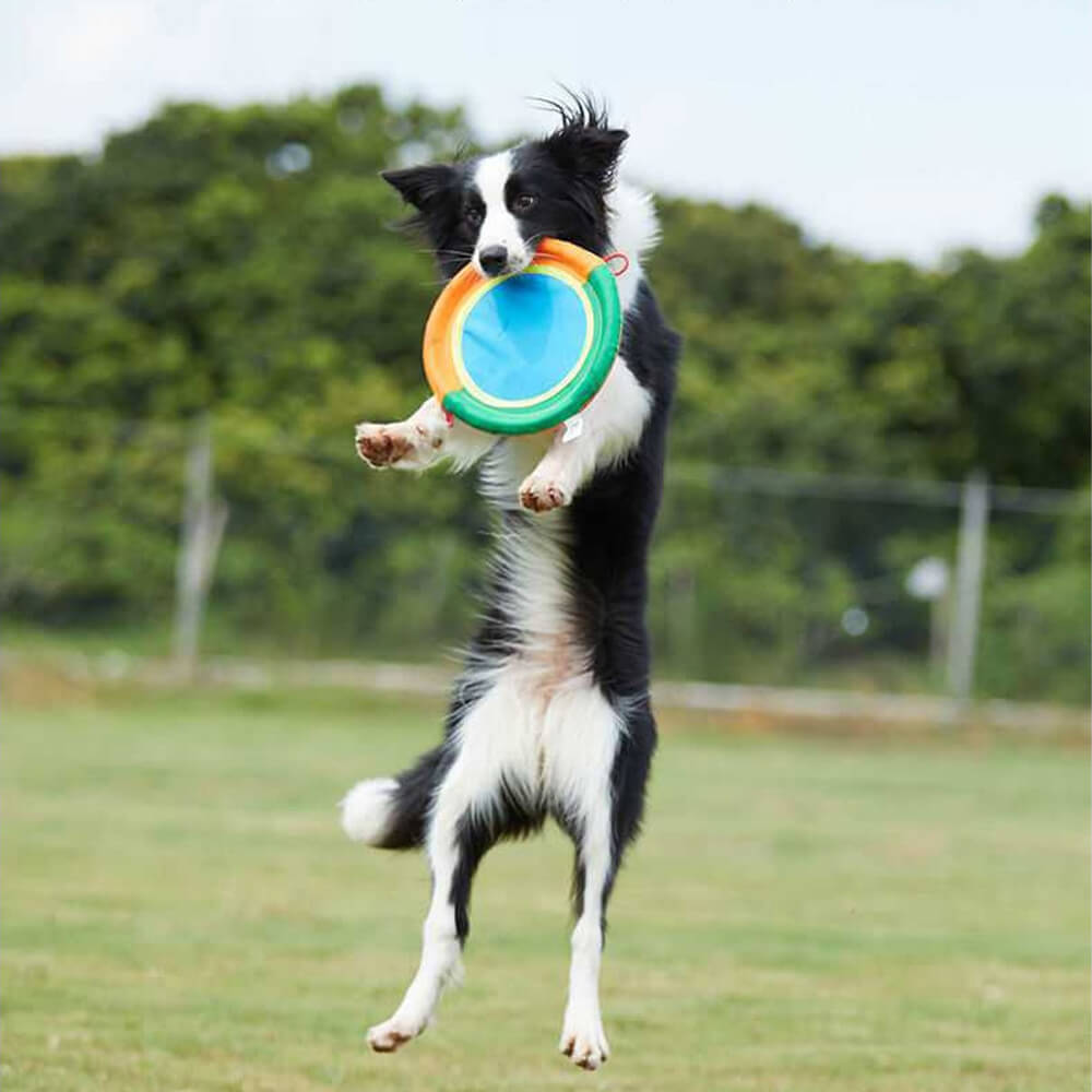 Frisbee pour Chien Résistant en Tissu Oxford