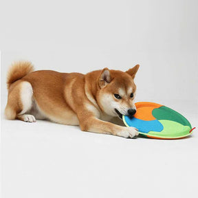 Frisbee pour Chien Résistant en Tissu Oxford