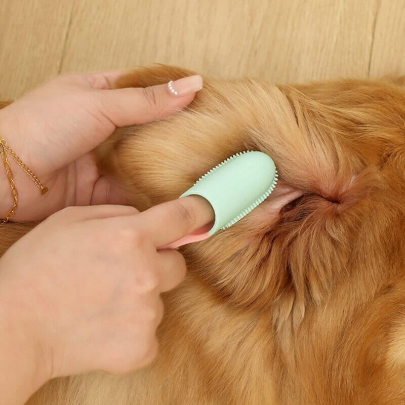 Brosse à dents pour animaux Doigt Nettoyage des dents