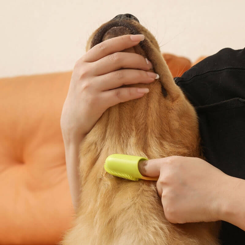 Brosse à dents pour animaux Doigt Nettoyage des dents