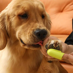 Brosse à dents pour animaux Doigt Nettoyage des dents