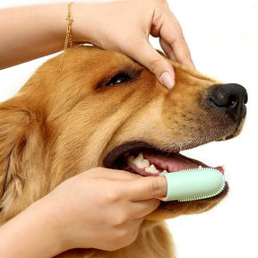 Brosse à dents pour animaux Doigt Nettoyage des dents