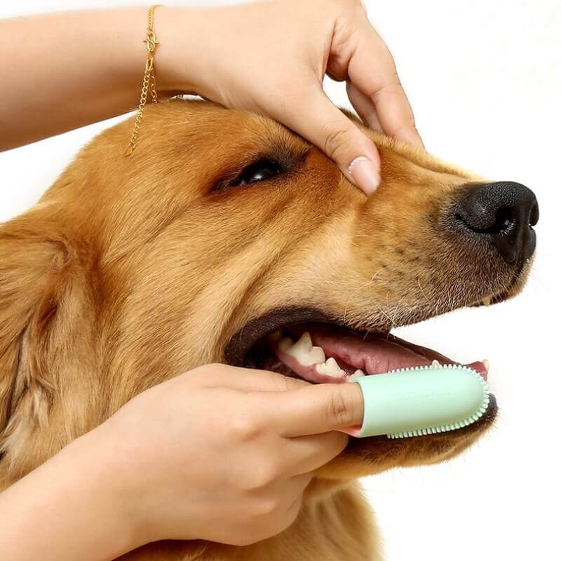 Brosse à dents pour animaux Doigt Nettoyage des dents