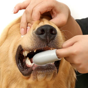 Brosse à dents pour animaux Doigt Nettoyage des dents