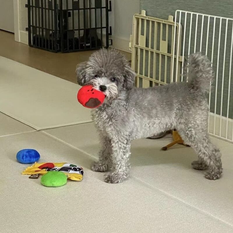 Jouets en Peluche Bonbon Alimentaire Tibétain pour Chien