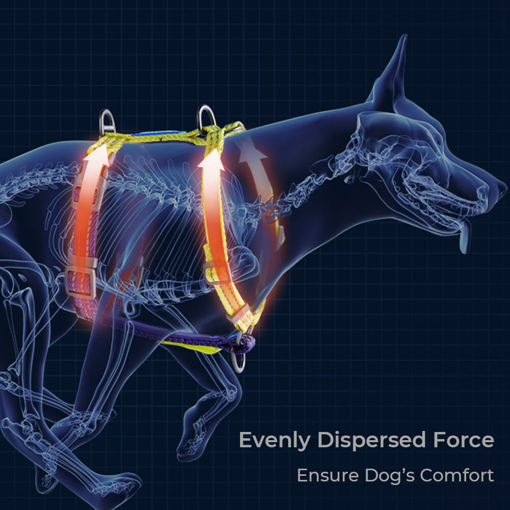 Harnais pour Chien Réglable Double-Face Multifonction