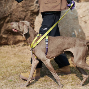 Harnais pour Chien Réglable Double-Face Multifonction