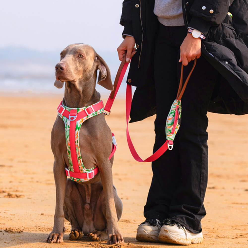 Ensemble Harnais Antidérapant pour Grand Chien avec Sangle de Promenade et Sac de Marche