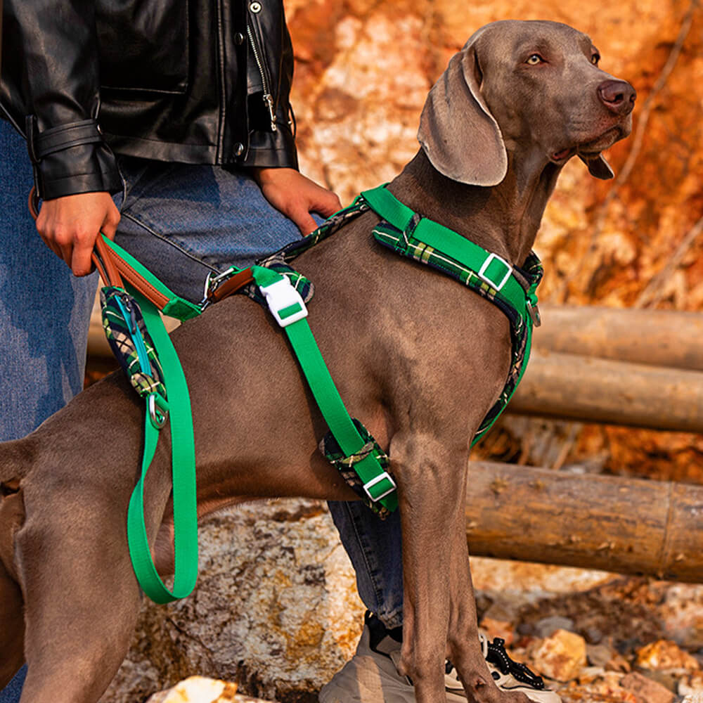 Ensemble Harnais Antidérapant pour Grand Chien avec Sangle de Promenade et Sac de Marche