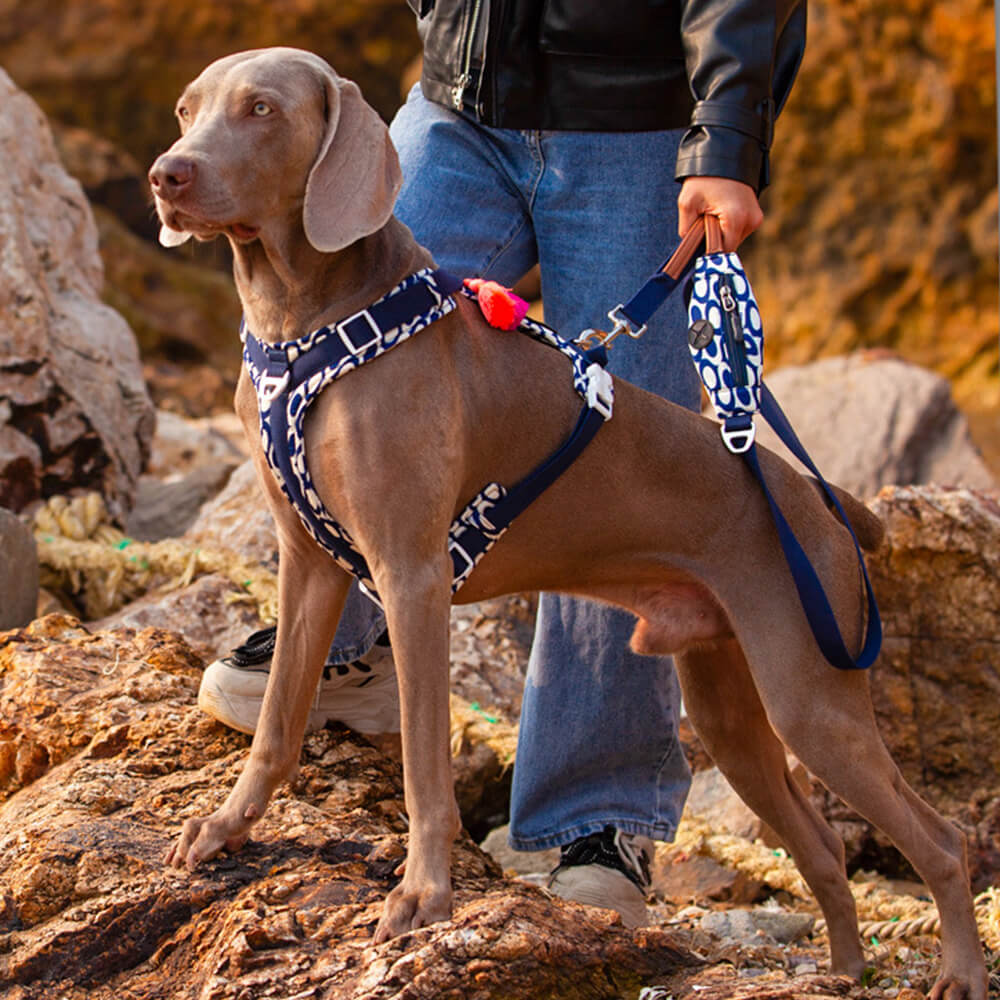 Ensemble Harnais Antidérapant pour Grand Chien avec Sangle de Promenade et Sac de Marche