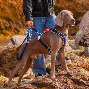 Ensemble Harnais Antidérapant pour Grand Chien avec Sangle de Promenade et Sac de Marche