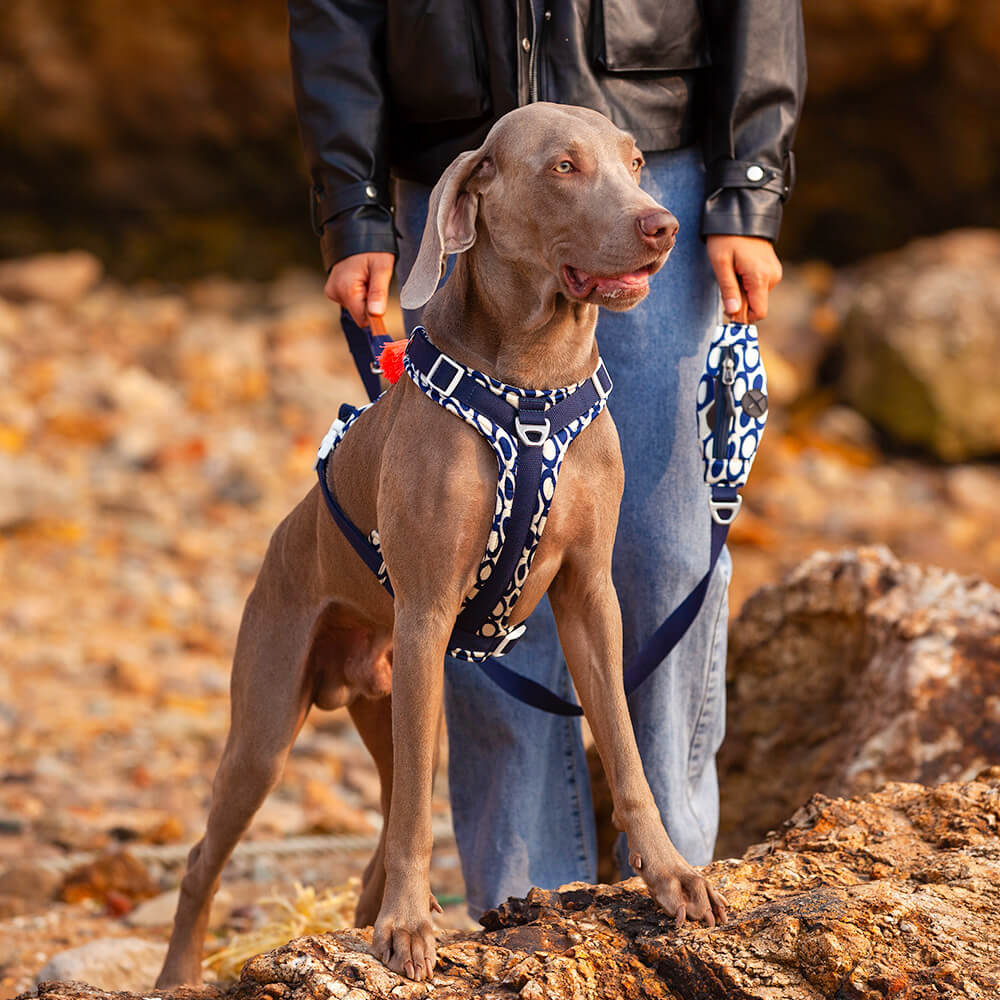 Ensemble Harnais Antidérapant pour Grand Chien avec Sangle de Promenade et Sac de Marche