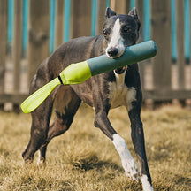 Jouet interactif ultra-résistant flottant pour chien