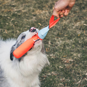 Jouet interactif ultra-résistant flottant pour chien