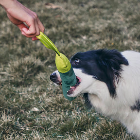 Jouet interactif ultra-résistant flottant pour chien