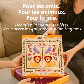 Coffret de jouets en édition limitée FUNNYFUZZY