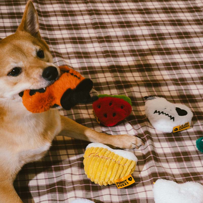 Coffret de jouets en édition limitée FUNNYFUZZY