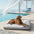 Grand Tapis Rafraichissant Chien Lavable Antidérapant pour Chiens d'Extérieur - Sieste Refroidissante