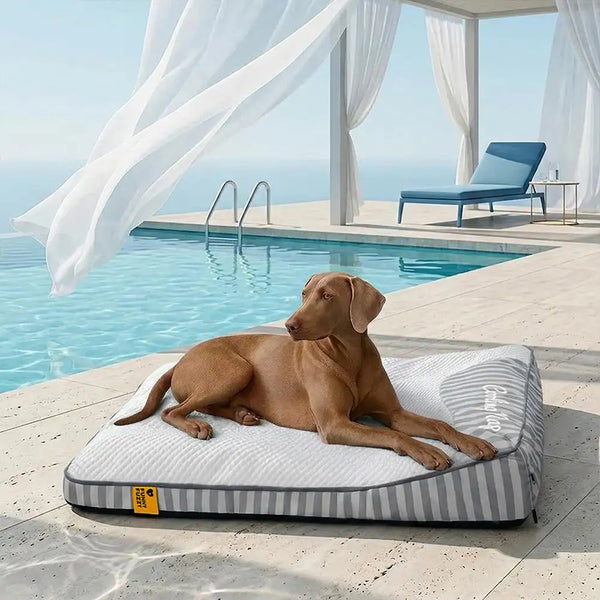 Grand Tapis Rafraichissant Chien Lavable Antidérapant pour Chiens d'Extérieur - Sieste Refroidissante