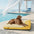 Grand Tapis Rafraichissant Chien Lavable Antidérapant pour Chiens d'Extérieur - Sieste Refroidissante