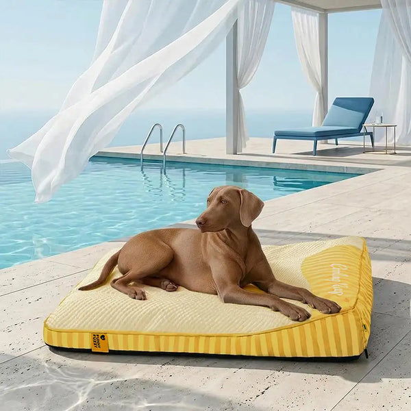 Grand Tapis Rafraichissant Chien Lavable Antidérapant pour Chiens d'Extérieur - Sieste Refroidissante