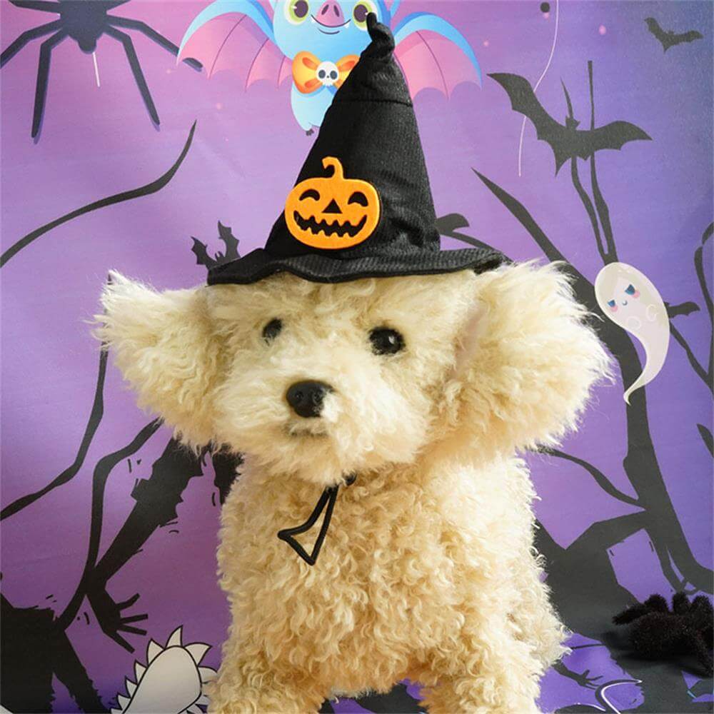 Chapeau Créatif pour Animaux Halloween | Accessoire de Transformation Magique et Amusant