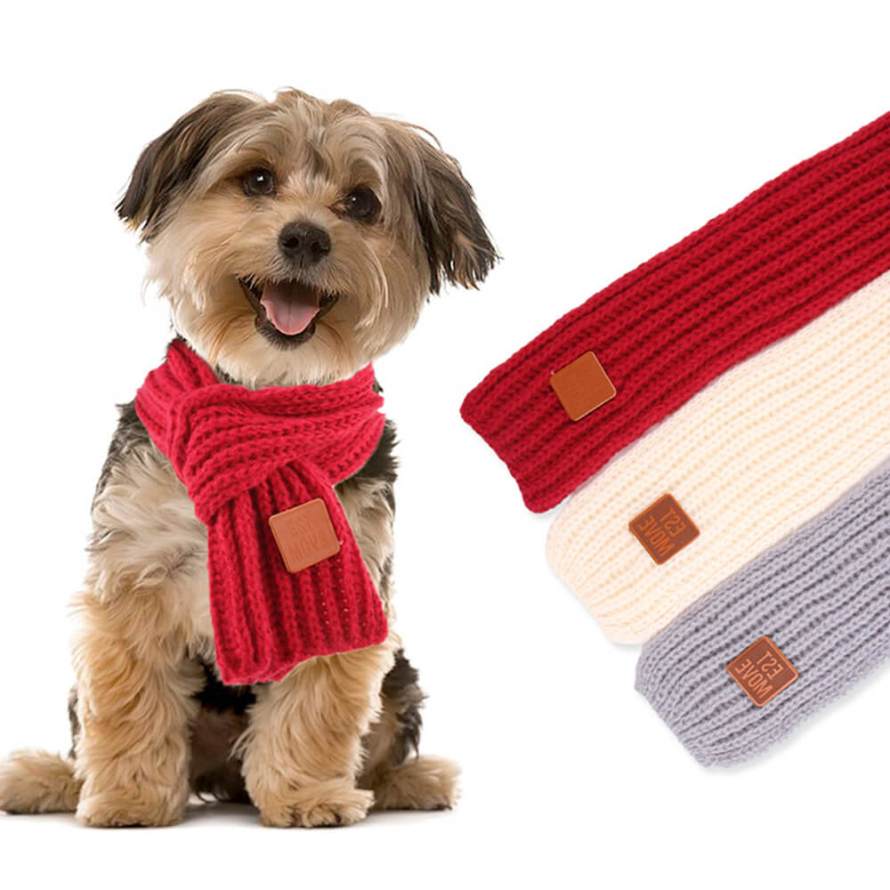 Écharpe tricotée pour chien accessoire hiver doux et chaud pour petites races